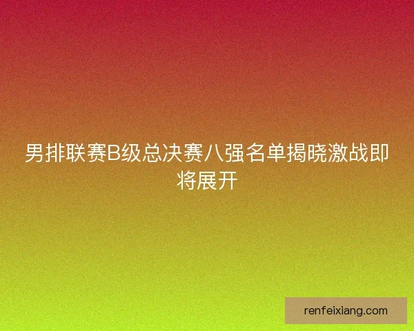男排联赛B级总决赛八强名单揭晓激战即将展开